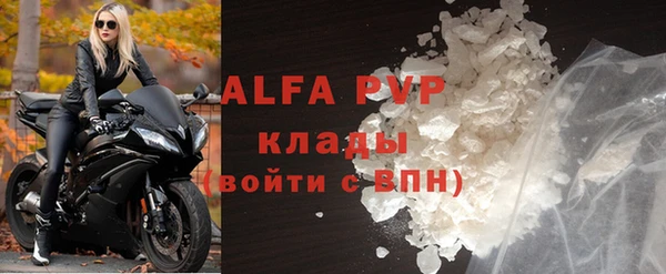 прущие грибы Михайловка