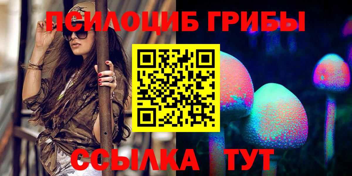Псилоцибиновые грибы мухоморы Димитровград