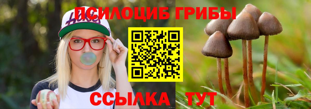 Димитровград  Галлюциногенные грибы ЛСД  Галлюциногенные грибы мицелий  купить наркотики цена  Вход с VPN 